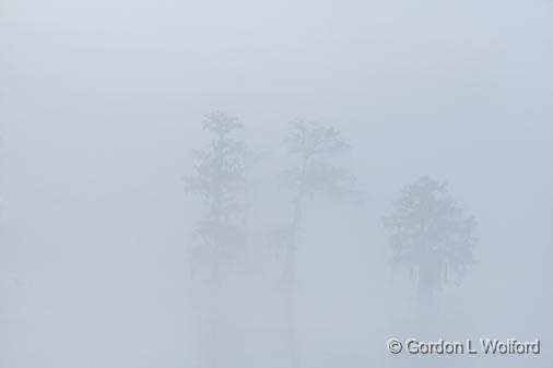 Foggy Lake Martin_45778.jpg - Photographed at Lake Martin near Breaux Bridge, Louisiana, USA.